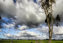 星空体育：结束假期！博主：河南队今天再度集结训练，王上源从国家队回归.